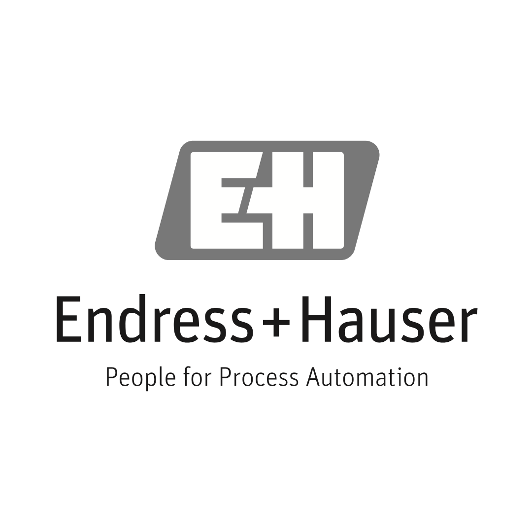 Endress + Hauser