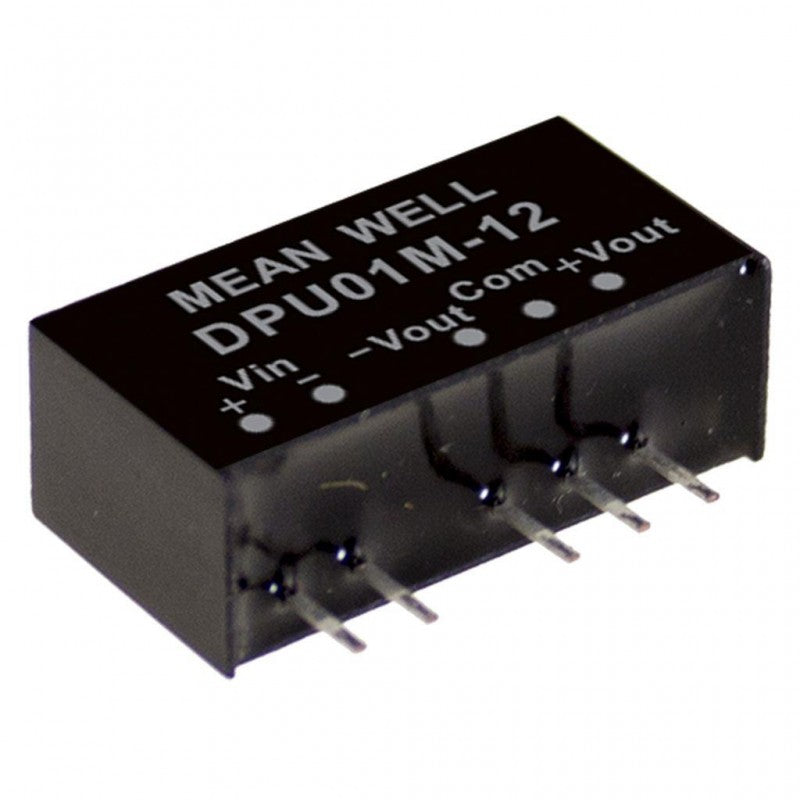 DPU01N-15 MEAN WELL