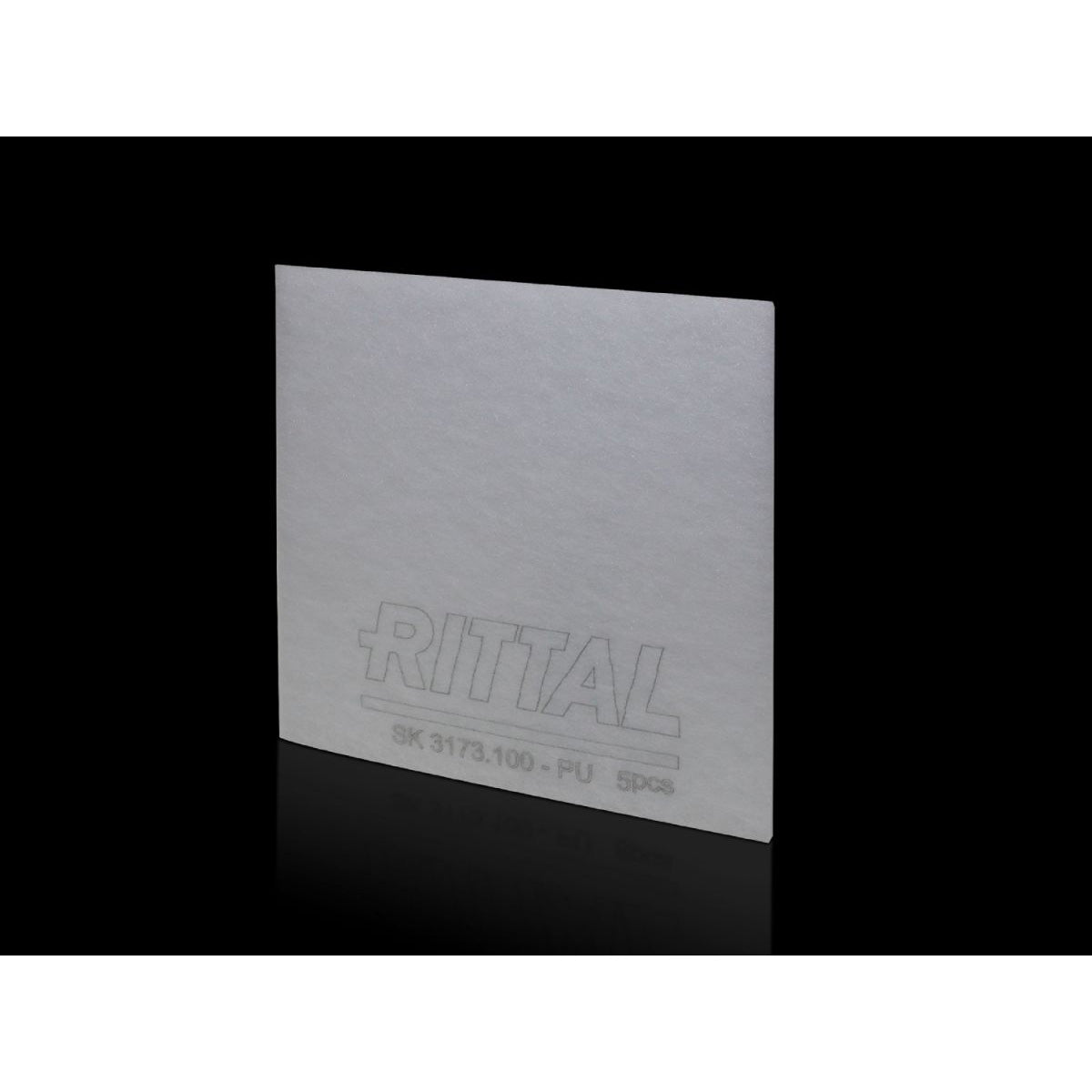 3173.1 Rittal