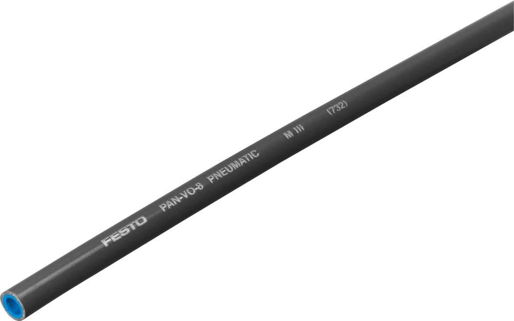 160552 FESTO - PAN-V0-10X1,25-SW