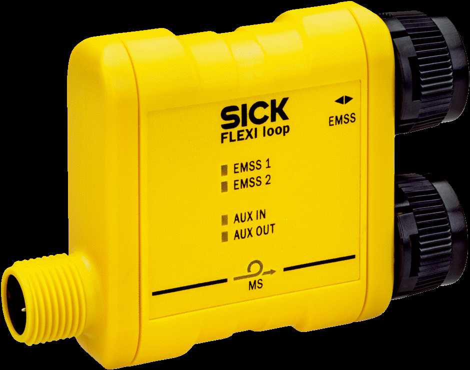 1061712 SICK - FLN-EMSS1100108