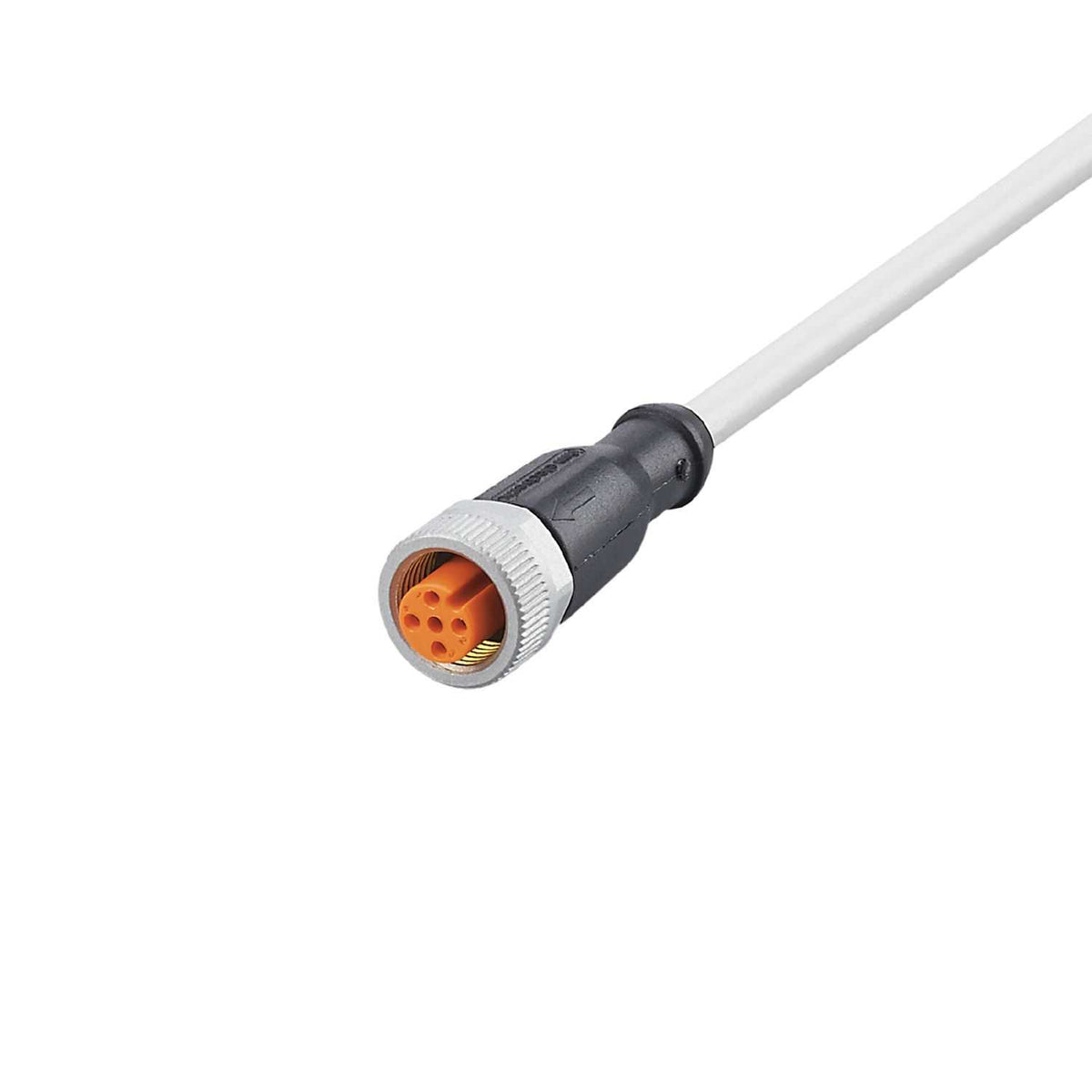EVW168 IFM - ADOGH046SCS0005T04